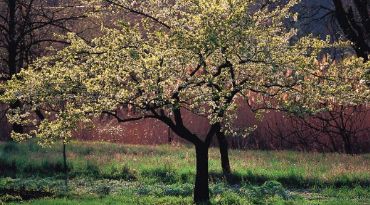 Il giardino dei sensi